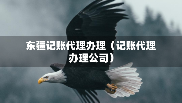 东疆记账代理办理（记账代理办理公司）