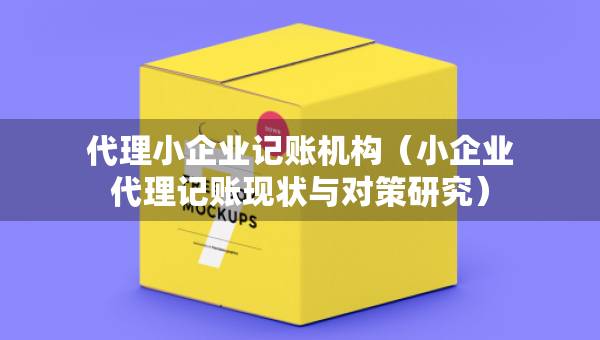 代理小企业记账机构（小企业代理记账现状与对策研究）