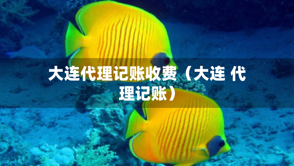 大连代理记账收费（大连 代理记账）