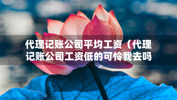 代理记账公司平均工资（代理记账公司工资低的可怜我去吗）
