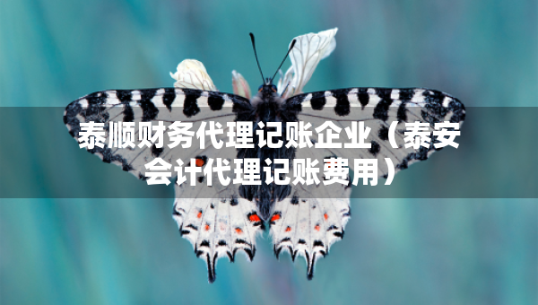 泰顺财务代理记账企业（泰安会计代理记账费用）