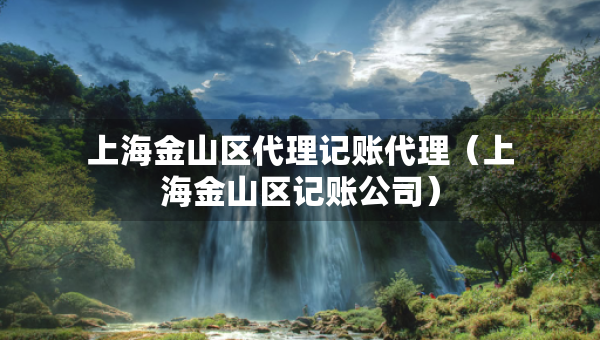 上海金山区代理记账代理（上海金山区记账公司）