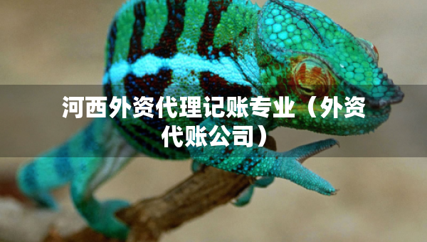 河西外资代理记账专业（外资代账公司）