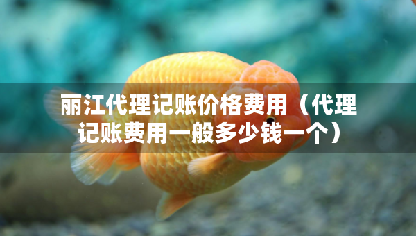丽江代理记账价格费用（代理记账费用一般多少钱一个）