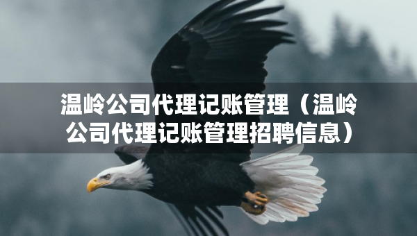 温岭公司代理记账管理（温岭公司代理记账管理招聘信息）