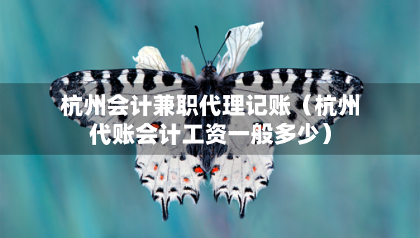 杭州会计兼职代理记账（杭州代账会计工资一般多少）