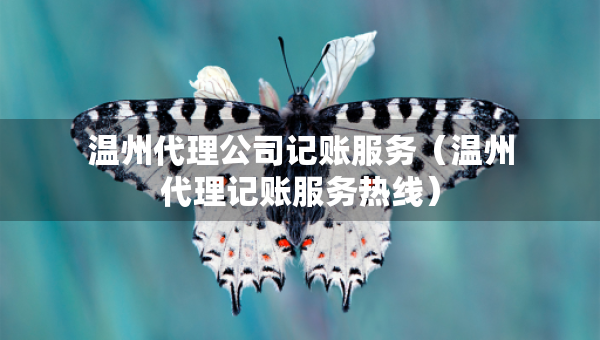 温州代理公司记账服务（温州代理记账服务热线）