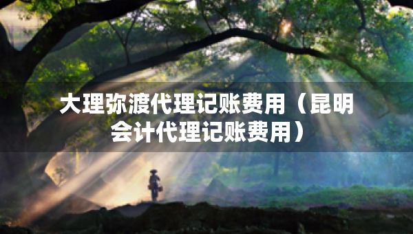 大理弥渡代理记账费用（昆明会计代理记账费用）