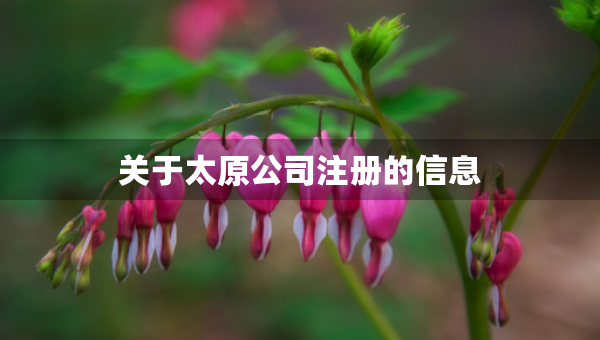 关于太原公司注册的信息