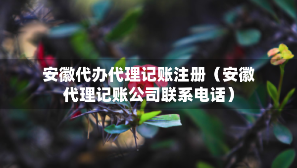 安徽代办代理记账注册（安徽代理记账公司联系电话）