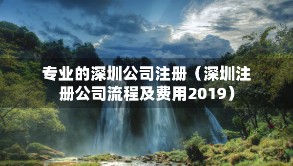 专业的深圳公司注册（深圳注册公司流程及费用2019）