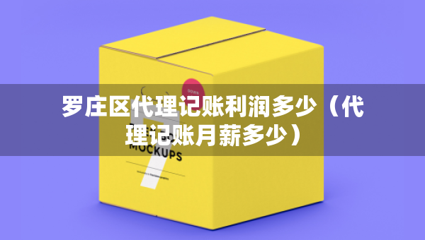 罗庄区代理记账利润多少（代理记账月薪多少）