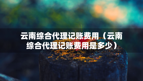 云南综合代理记账费用（云南综合代理记账费用是多少）