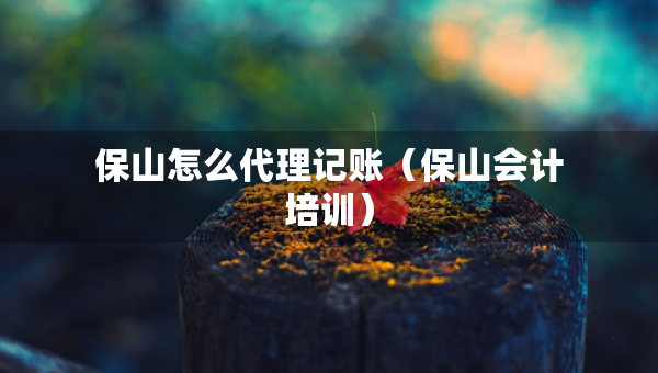 保山怎么代理记账（保山会计培训）