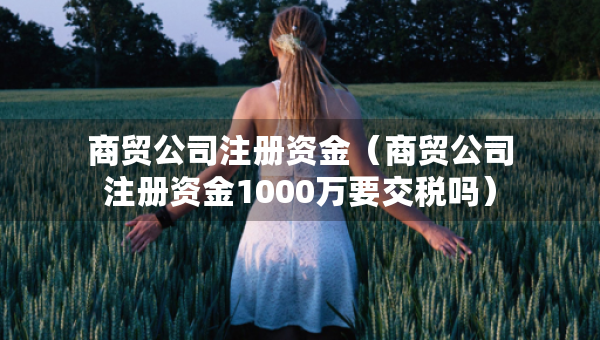 商贸公司注册资金（商贸公司注册资金1000万要交税吗）