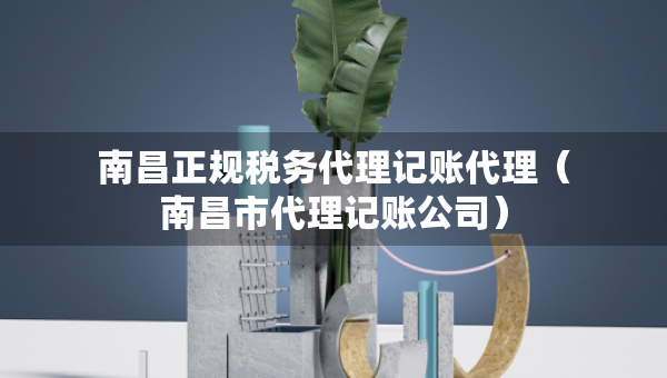 南昌正规税务代理记账代理（南昌市代理记账公司）