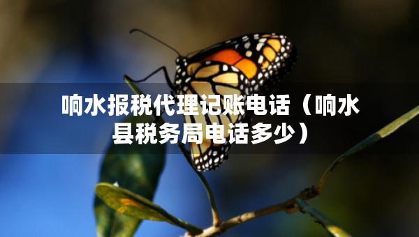 响水报税代理记账电话（响水县税务局电话多少）