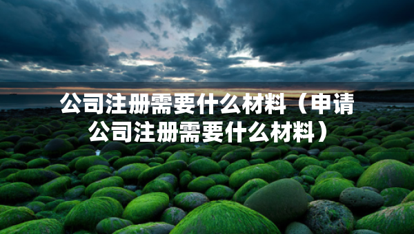公司注册需要什么材料（申请公司注册需要什么材料）