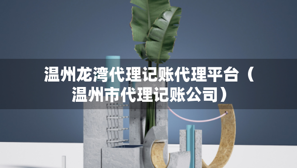 温州龙湾代理记账代理平台（温州市代理记账公司）