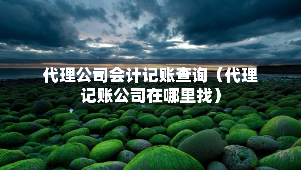 代理公司会计记账查询（代理记账公司在哪里找）