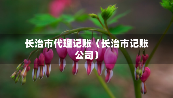 长治市代理记账（长治市记账公司）
