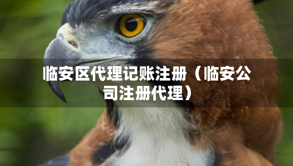 临安区代理记账注册（临安公司注册代理）