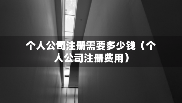 个人公司注册需要多少钱（个人公司注册费用）