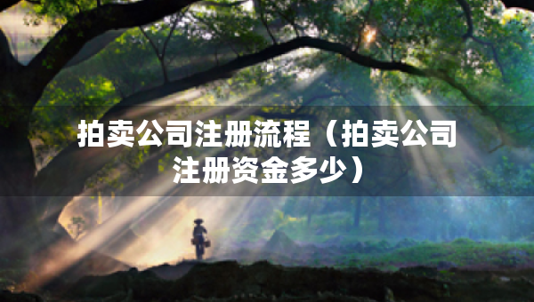 拍卖公司注册流程（拍卖公司注册资金多少）