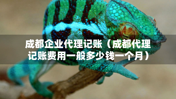成都企业代理记账（成都代理记账费用一般多少钱一个月）