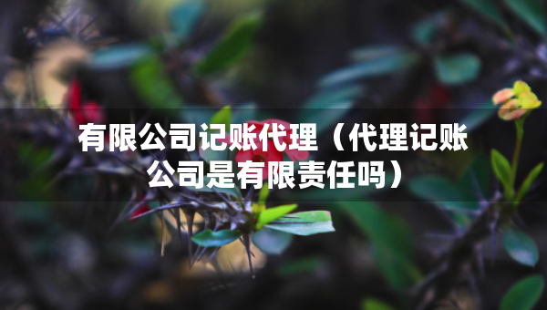 有限公司记账代理(代理记账公司是有限责任吗) 有限公司记账代理(代理记账公司是有限责任吗)