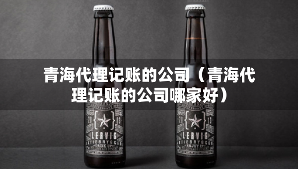 青海代理记账的公司（青海代理记账的公司哪家好）