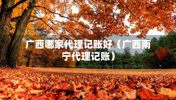 广西哪家代理记账好（广西南宁代理记账）