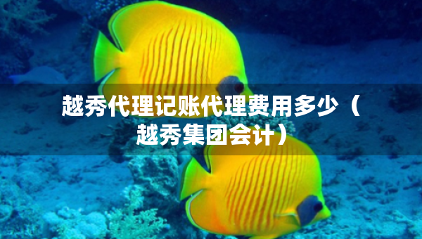越秀代理记账代理费用多少（越秀集团会计）