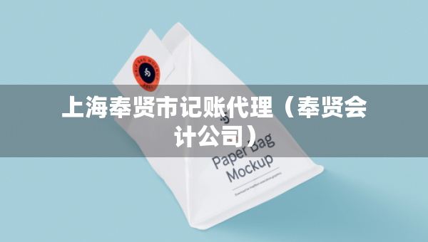 上海奉贤市记账代理（奉贤会计公司）