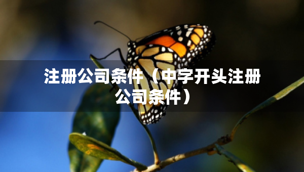 注册公司条件（中字开头注册公司条件）