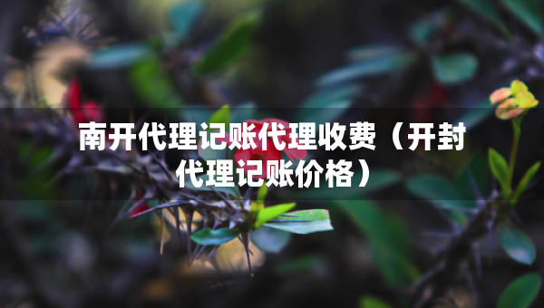 南开代理记账代理收费（开封代理记账价格）