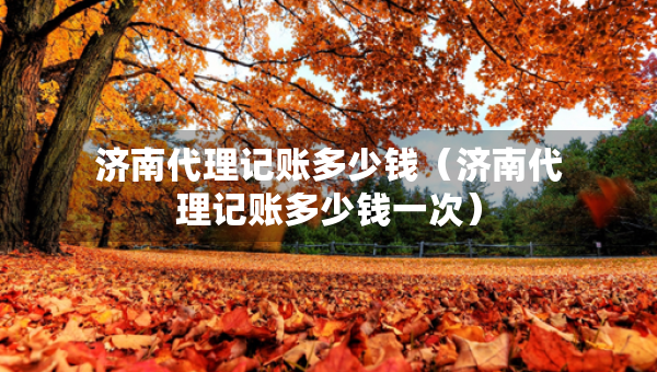 济南代理记账多少钱（济南代理记账多少钱一次）