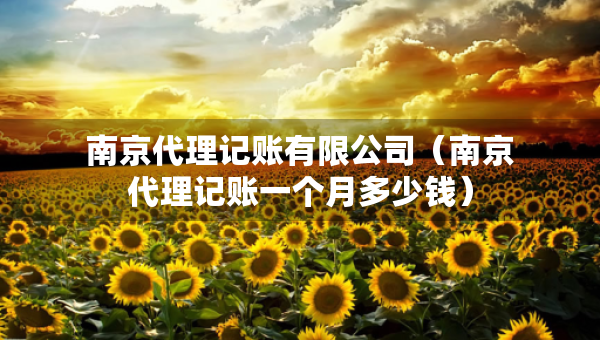 南京代理记账有限公司（南京代理记账一个月多少钱）