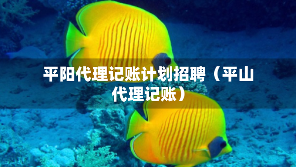 平阳代理记账计划招聘（平山代理记账）