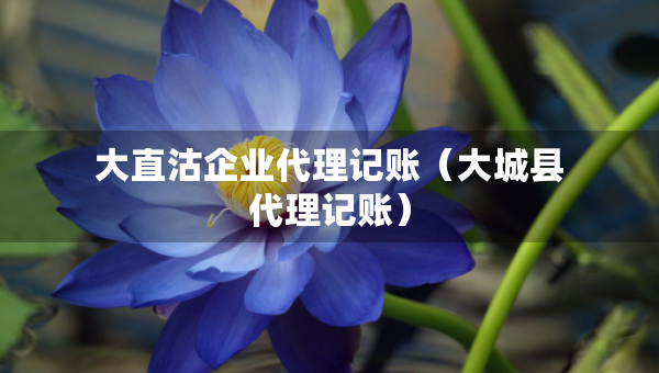 大直沽企业代理记账（大城县代理记账）