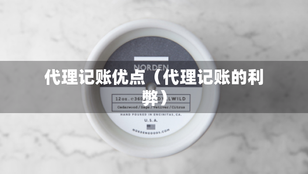 代理记账优点（代理记账的利弊）