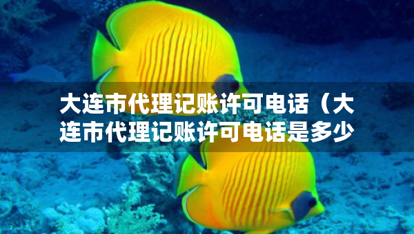 大连市代理记账许可电话（大连市代理记账许可电话是多少）