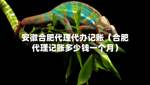 安徽合肥代理代办记账（合肥代理记账多少钱一个月）
