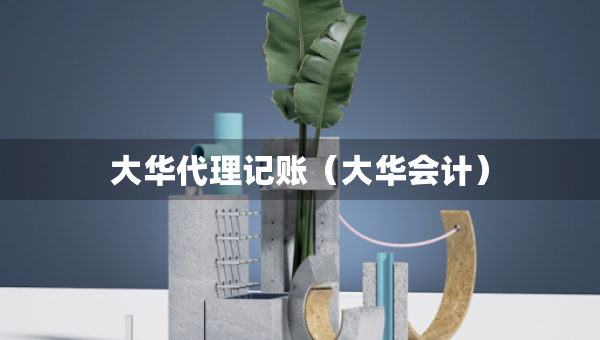大华代理记账（大华会计）