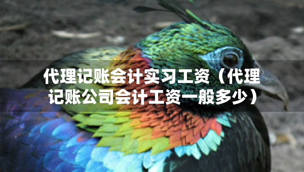 代理记账会计实习工资（代理记账公司会计工资一般多少）