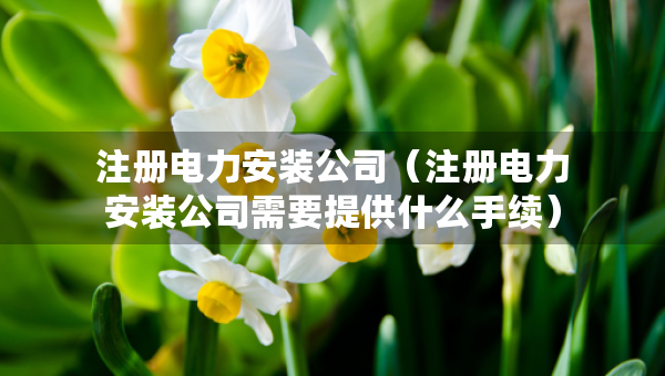 注册电力安装公司（注册电力安装公司需要提供什么手续）