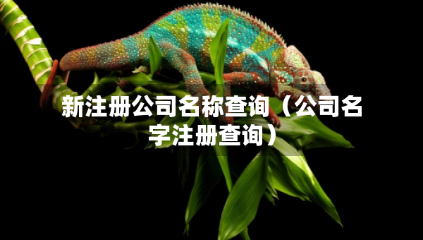 新注册公司名称查询（公司名字注册查询）