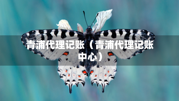 青浦代理记账（青浦代理记账中心）