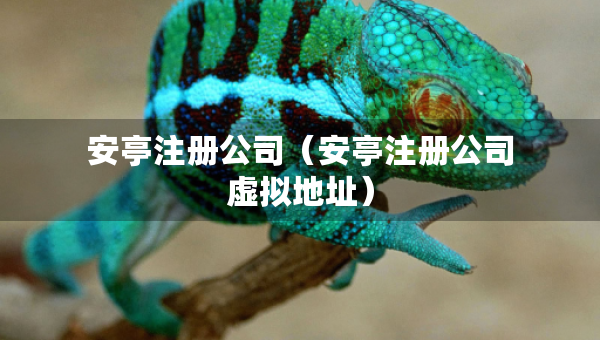 安亭注册公司（安亭注册公司虚拟地址）