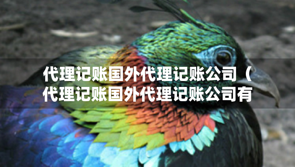 代理记账国外代理记账公司（代理记账国外代理记账公司有哪些）